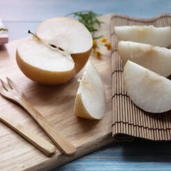 20th Century (Nijisseiki) Asian Pear Tree -Green Yard Plant Store 20thCentury Pear 1 FGT 6807a32e cb1f 4918 97d7 0be553512605