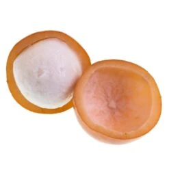 Achacha Fruit Tree -Green Yard Plant Store Achacha 2