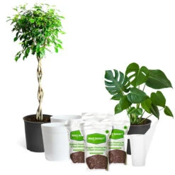 All-in-One House Plant Starter Kit
