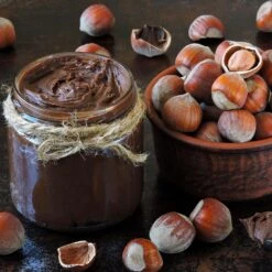 American Hazelnut Filbert -Green Yard Plant Store American Hazelnut 1