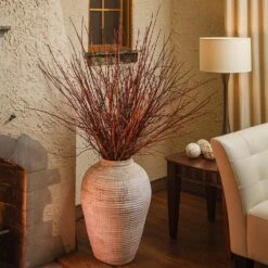 Arctic Fire® Red Twig Dogwood -Green Yard Plant Store Arctic Fire Twig Dogwood 6 FGT