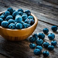 Aurora Blueberry Bush - USDA Organic 11 Aurora Blueberry Bush - USDA Organic -Green Yard Plant Store Aurora Blueberry 4 dc5a7e17 d7e4 4799 b1b9 177f422f6847