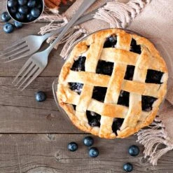 Aurora Blueberry Bush - USDA Organic 12 Aurora Blueberry Bush - USDA Organic -Green Yard Plant Store Aurora Blueberry 5 112457a4 3811 4866 87c8 269c657283bf