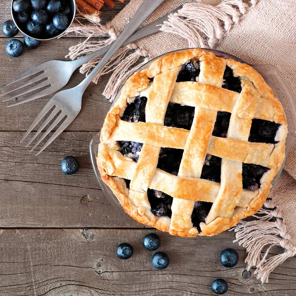 Aurora Blueberry Bush - USDA Organic 6 Aurora Blueberry Bush - USDA Organic - Image 6