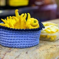 Buddha's Hand Citron 9 Buddha's Hand Citron -Green Yard Plant Store BUddhas Hand Citrus 6 FGT