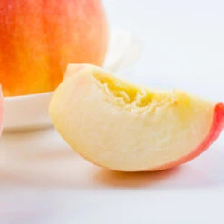 Belle Of Georgia Peach Tree -Green Yard Plant Store Belle of Georgia 3 ea75db8c 1c8e 47c4 9aac 3f7fe043655e