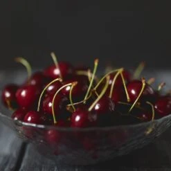 Black Tartarian Cherry Tree -Green Yard Plant Store Black Tartarian Cherry Tree 2 FGT