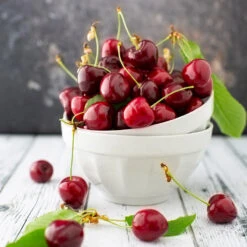 Brooks Cherry Tree 7 Brooks Cherry Tree -Green Yard Plant Store Brooks Cherry Tree 5 FGT