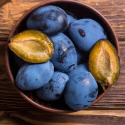 Brooks Plum Tree -Green Yard Plant Store Brooks Plum 2