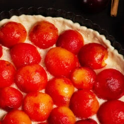 Bubblegum 'Toka' Plum Tree 9 Bubblegum 'Toka' Plum Tree -Green Yard Plant Store Bubblegum Toka Plum 3