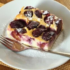 Burgundy Plum Tree -Green Yard Plant Store Burgundy Plum 3