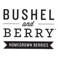 Bushel And Berry® Perpetua Blueberry 11 Bushel And Berry® Perpetua Blueberry -Green Yard Plant Store Bushel Berry Logo 1000x1000 07980c25 2ebc 4135 ae6e d94d84511356