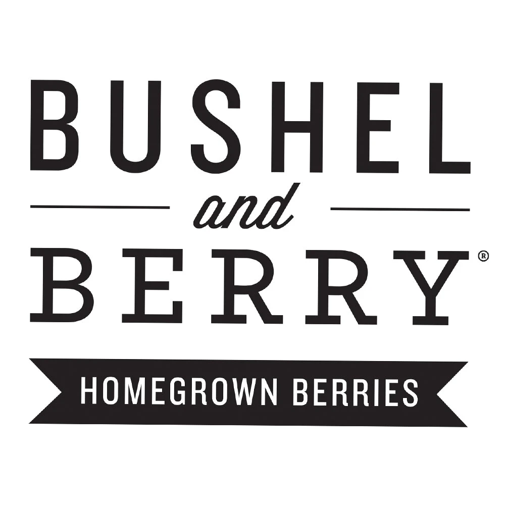 Bushel And Berry® Perpetua Blueberry 6 Bushel And Berry® Perpetua Blueberry - Image 6