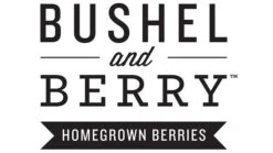 Bushel And Berry® Blueberry Glaze™ Blueberry Bush 6 Bushel And Berry® Blueberry Glaze™ Blueberry Bush -Green Yard Plant Store BushelandBerry Logo web
