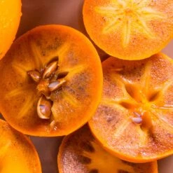 Chocolate Persimmon Tree 5 Chocolate Persimmon Tree -Green Yard Plant Store CHocolate Persimmon 2