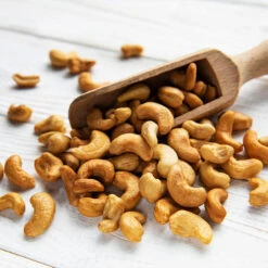 Cashew Tree 10 Cashew Tree -Green Yard Plant Store Cashew Nut Tree 5