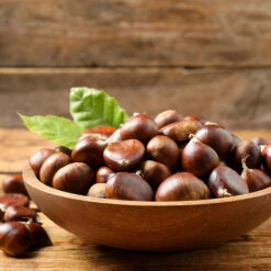 Chinese Chestnut Tree -Green Yard Plant Store Chinese Chestnut 3 FGT