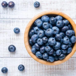 Climax Blueberry - USDA Organic -Green Yard Plant Store Climax Blueberry 4 6dff9fe5 d11c 4867 ac6f bf49cd37acb5