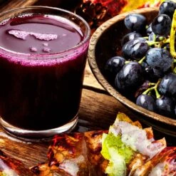 Concord Grape -Green Yard Plant Store Concord Grape 8