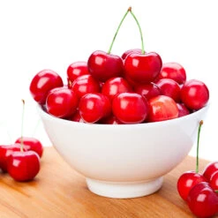 Coral Champagne Cherry Tree -Green Yard Plant Store Coral Champagne Cherry Tree 4 FGT