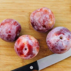 Dapple Dandy Pluot Tree -Green Yard Plant Store Dapple Dandy 2