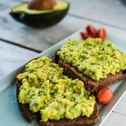 Condo™ Avocado Tree 11 Condo™ Avocado Tree -Green Yard Plant Store Day Condo Avocado 2