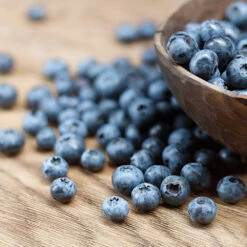 Emerald Blueberry Bush 5 Emerald Blueberry Bush -Green Yard Plant Store Emerald Blueberries 1