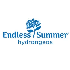 Endless Summer® Summer Crush® Hydrangea -Green Yard Plant Store Endless Summer Hydrangeas 1000x1000 347a4889 45a5 42f4 94f1 e0220955e380