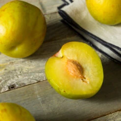 Flavor Queen Pluot® -Green Yard Plant Store Flavor Queen Pluot 2