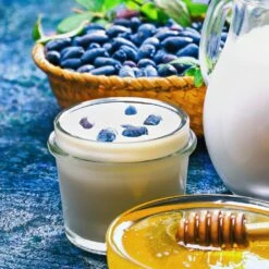 Indigo Gem Haskap (Honeyberry) 7 Indigo Gem Haskap (Honeyberry) -Green Yard Plant Store Indigo GEm Haskap 1