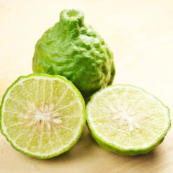 Kaffer 'Kieffer' Lime Tree 8 Kaffer 'Kieffer' Lime Tree -Green Yard Plant Store Kaffir Lime 7 FGT