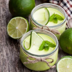 Key Lime Tree - USDA Organic -Green Yard Plant Store Key Lime Tree 4 FGT 8c9c096a 80b3 4ead b08e 43cfbd23c3a2