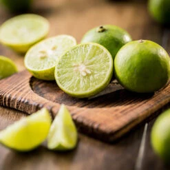 Key Lime Tree - USDA Organic -Green Yard Plant Store Key Lime Tree 5 FGT da9b0536 ead5 46ca b8b5 d82cfb777942