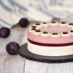 Methley Plum Tree -Green Yard Plant Store Methley Plum 5 d1cf4da0 c7c8 4a54 8dce 9916c07f2fa6