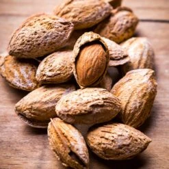 Nonpareil Almond Tree -Green Yard Plant Store Nonpareil Almonds 3