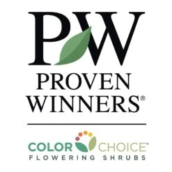 Fire Light® Hydrangea Shrub -Green Yard Plant Store PW Logo CC 1000x1000 be68a0e2 f252 47e1 960a fb187d7623e4