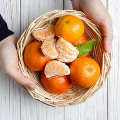 Page Mandarin Tree -Green Yard Plant Store Page Mandarin Tree 2 FGT