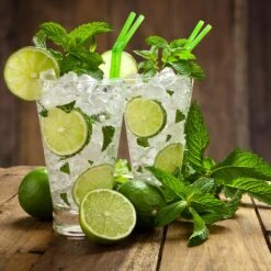 Persian 'Bearss' Lime Tree - USDA Organic 10 Persian 'Bearss' Lime Tree - USDA Organic -Green Yard Plant Store Persian Lime Tree 4 FGT 3e2376b1 dd45 4777 a1e5 8c0e252ea773