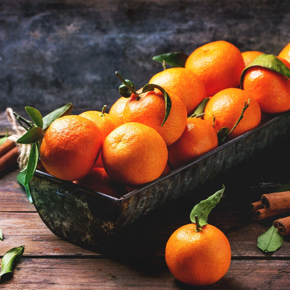 Pixie Mandarin Tree 4 Pixie Mandarin Tree - Image 4