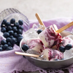 Powderblue Blueberry 11 Powderblue Blueberry -Green Yard Plant Store Powderblue BLueberry 5