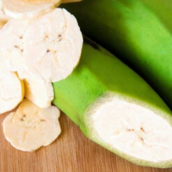 Puerto Rican Plantain Banana Tree -Green Yard Plant Store Puerto Rican Plantain Banana Tree 3