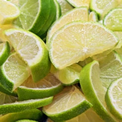 Persian 'Bearss' Lime Bush 8 Persian 'Bearss' Lime Bush -Green Yard Plant Store Pursian Lime Bush 1 FGT 8e948345 4f0b 4e96 a96f a17b7b31b7ab