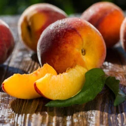 Red Baron Peach Tree -Green Yard Plant Store Red Baron Peach 4