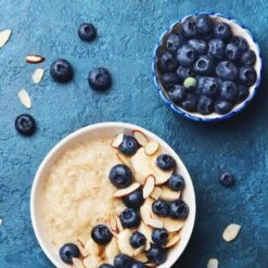 Reveille Blueberry Bush -Green Yard Plant Store Reville Blueberry 2