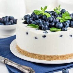 Sunshine Blue Blueberry Bush -Green Yard Plant Store SUnshine BLue Blueberry 4