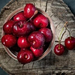 Santina™ Cherry Tree -Green Yard Plant Store Santina Cherry 1