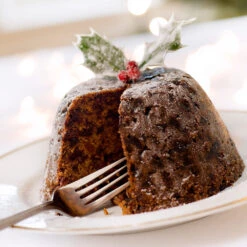 Satsuma Plum Tree -Green Yard Plant Store Satsuma Plum 4