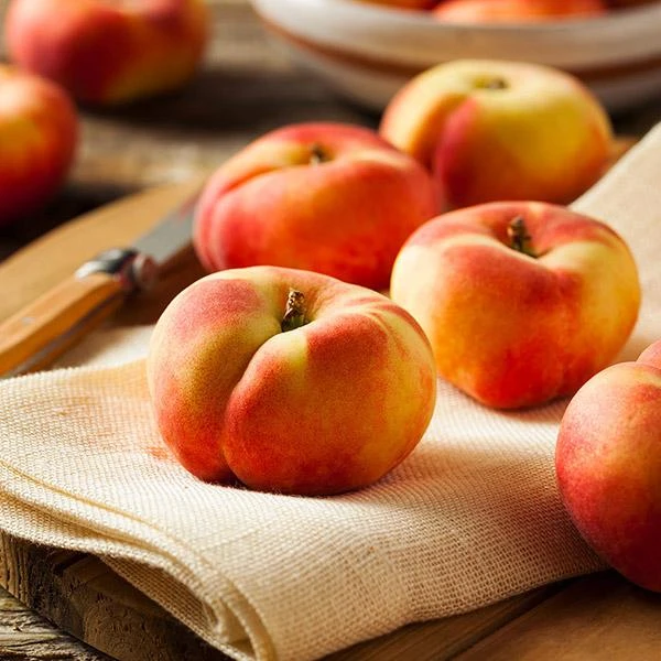 Saturn Peach Tree 1 Saturn Peach Tree