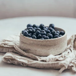 Sharpblue Blueberry Bush -Green Yard Plant Store Sharpblue Blueberry 1