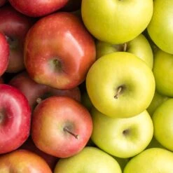 5-in-1 Apple Surprise Tree -Green Yard Plant Store Surprise Apple 1